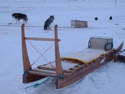 Qamutlik - a long Inuit sledge
