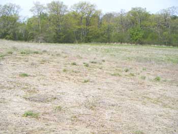 afterherbicide (13K)
